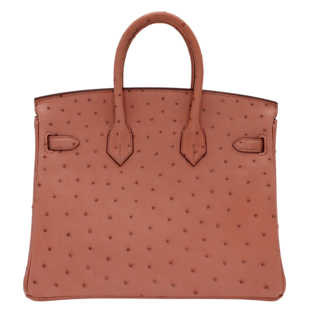 Hermès 25cm Birkin Terre Cuite Ostrich Gold Hardware