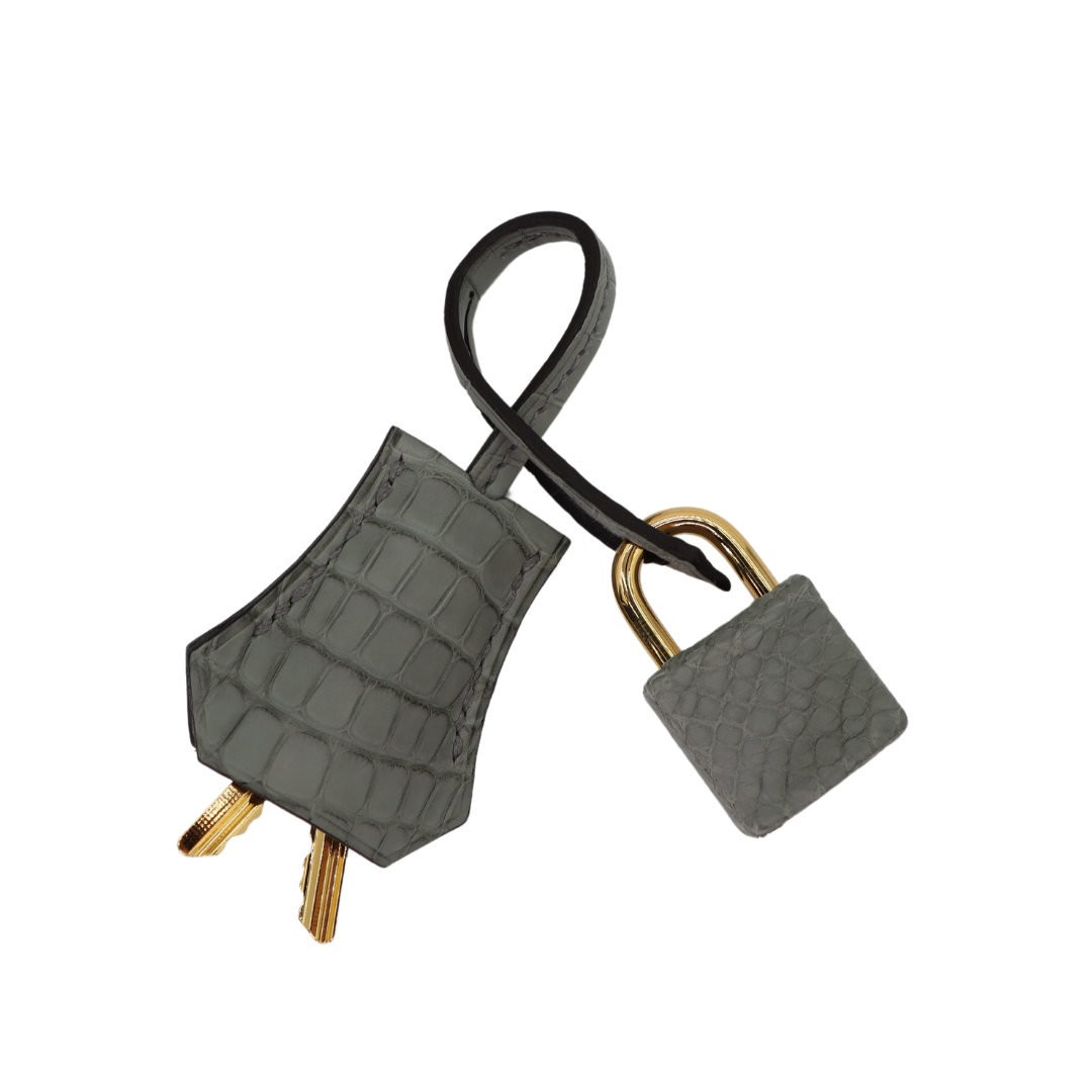 Hermès 20cm Birkin Sellier Gris Cement Matte Alligator Gold Hardware