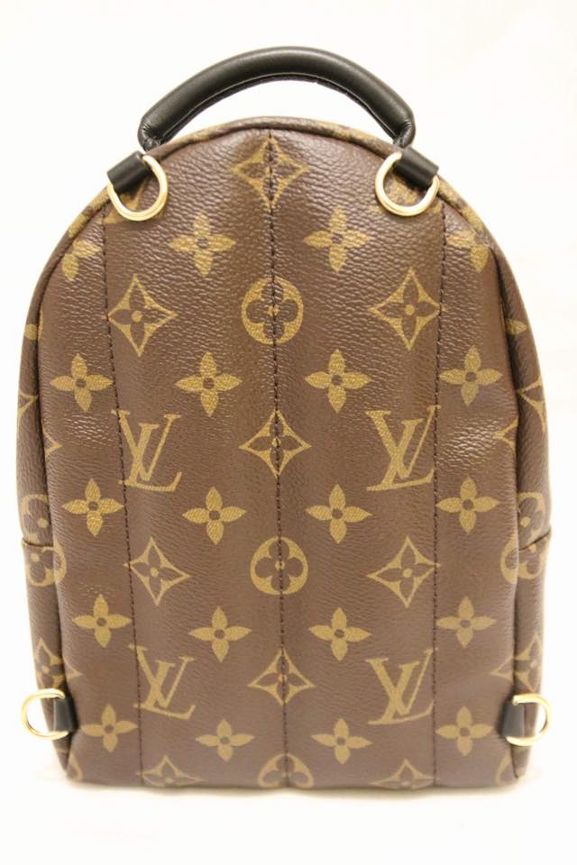 Louis Vuitton | World Tour Monogram Palm Springs Backpack | Mini