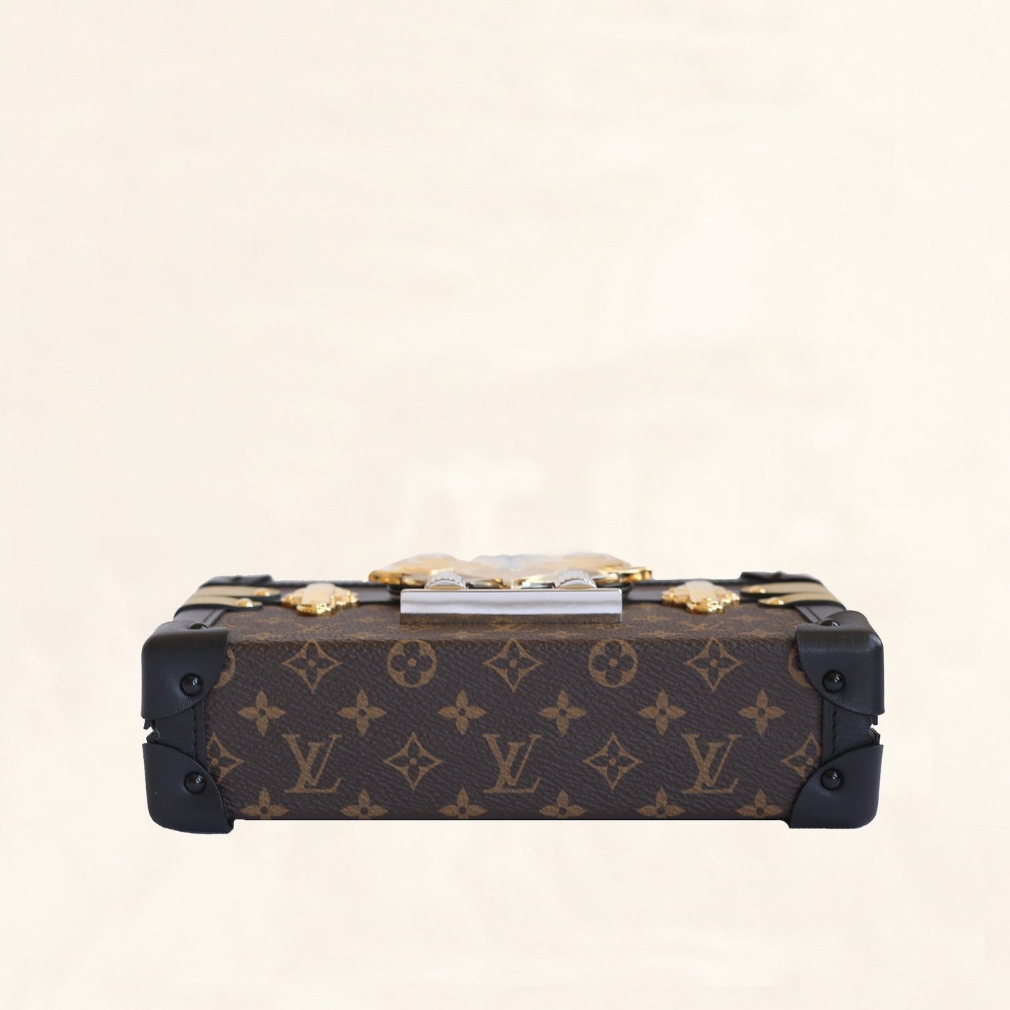 Louis Vuitton | Embellished Monogram Petite Malle