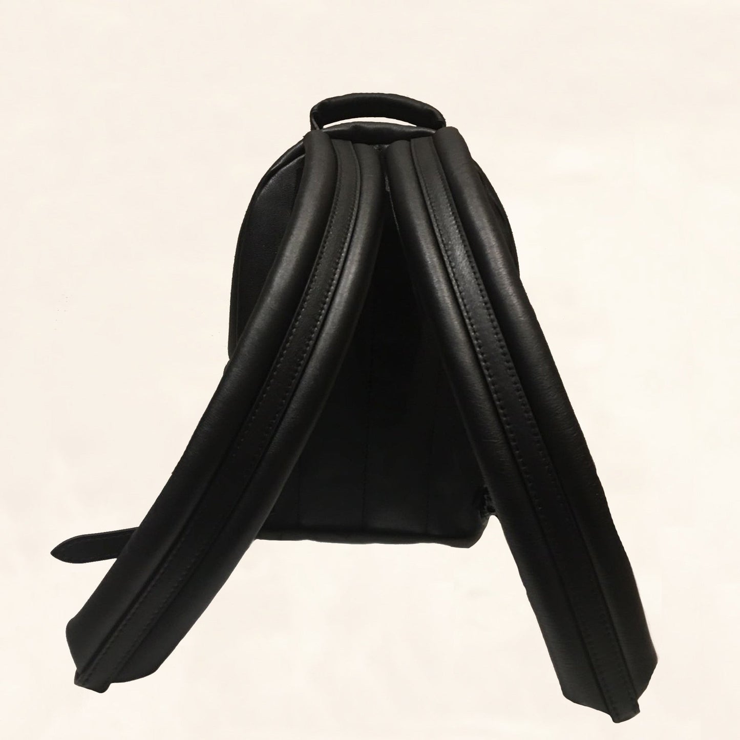 Louis Vuitton | Embroidered Lambskin Palm Springs BackPack | PM