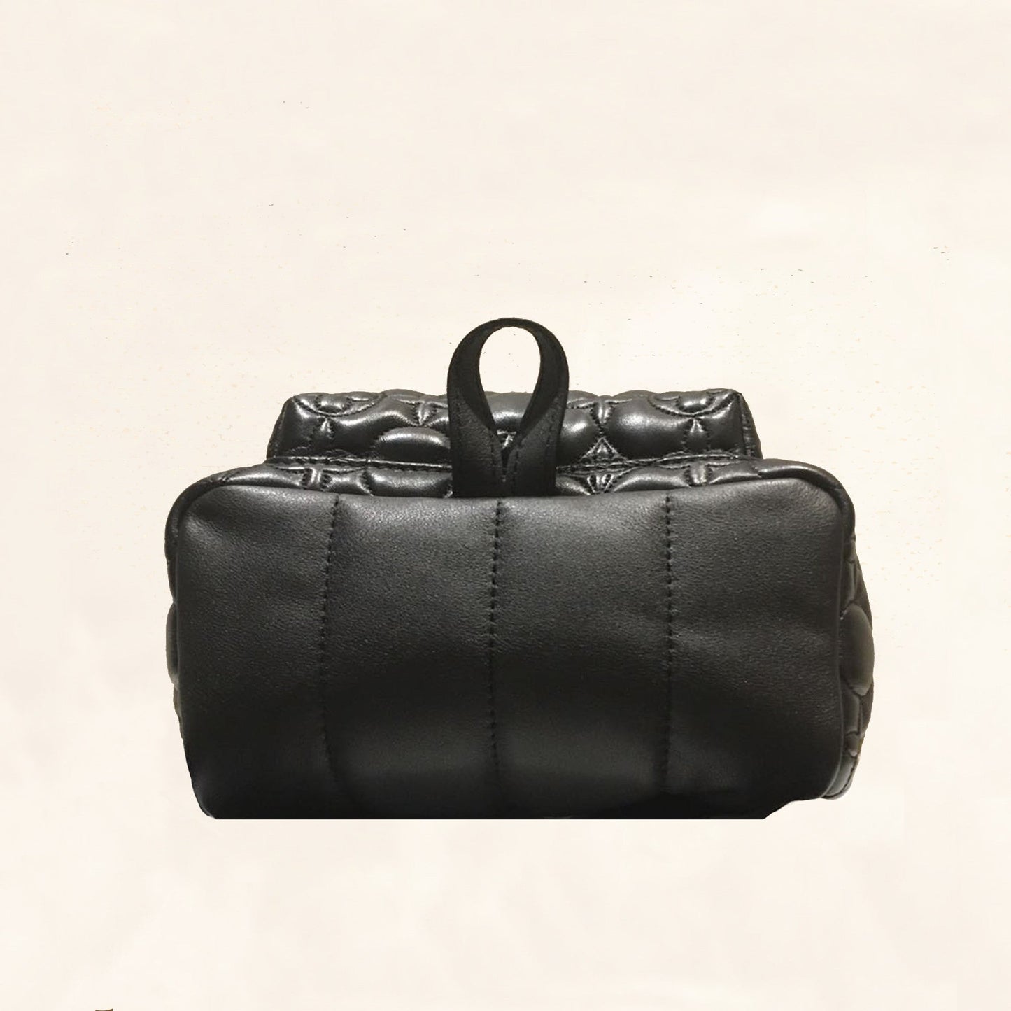 Louis Vuitton | Embroidered Lambskin Palm Springs BackPack | PM