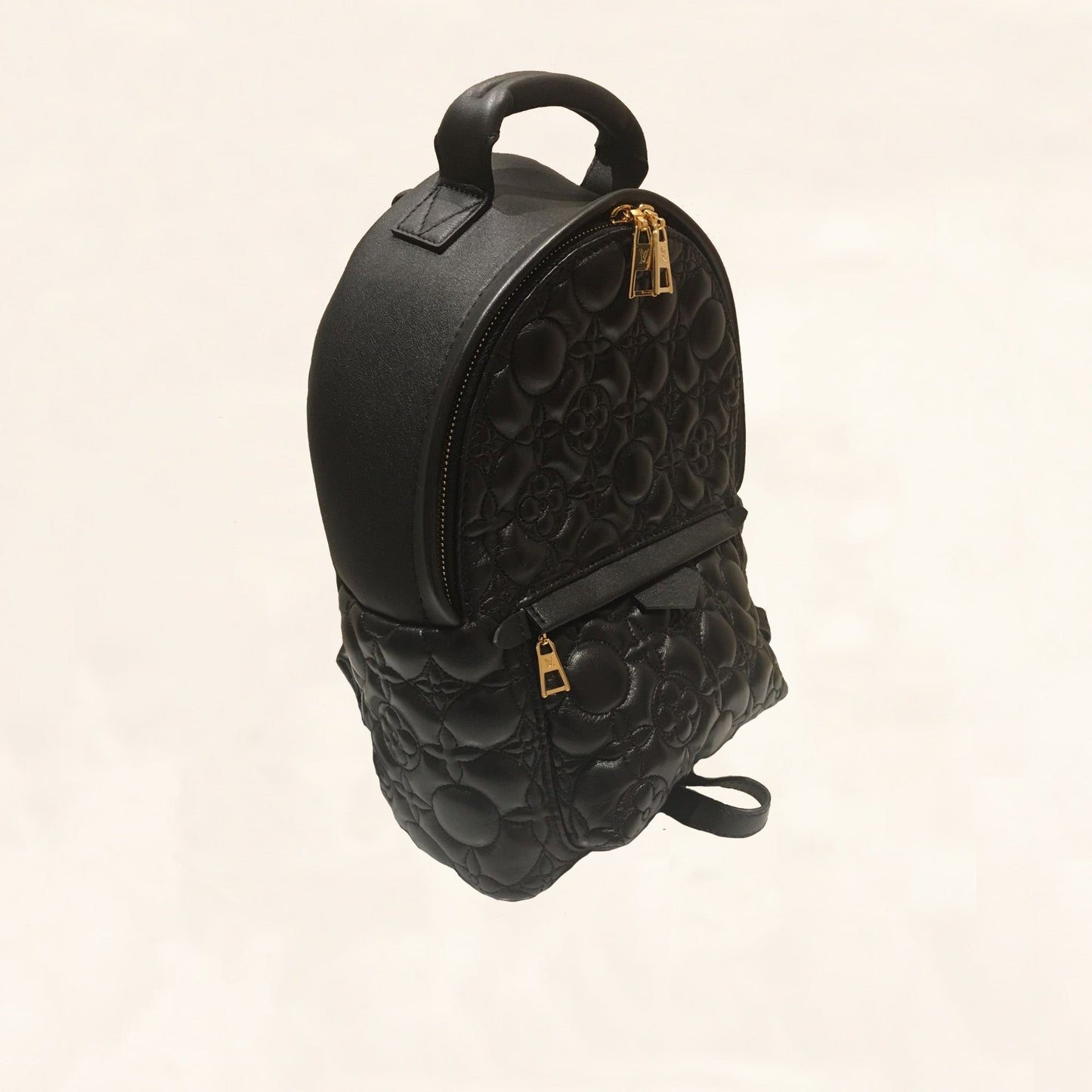 Louis Vuitton | Embroidered Lambskin Palm Springs BackPack | PM