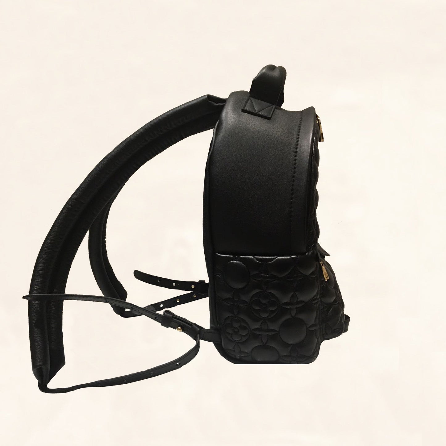 Louis Vuitton | Embroidered Lambskin Palm Springs BackPack | PM