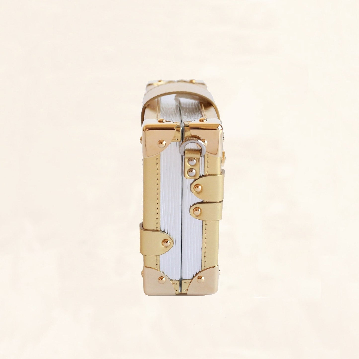 Louis Vuitton | Metallic Petite Malle | M50018