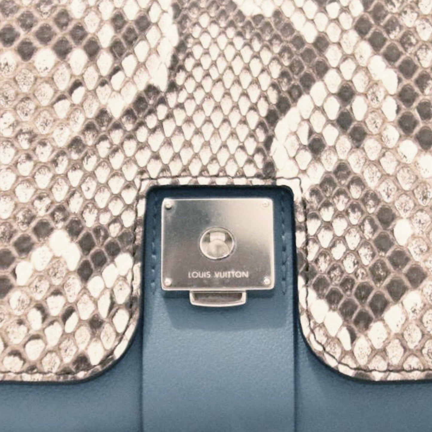 Louis Vuitton | Python Very Chain Bag | Pastel Baby Blue