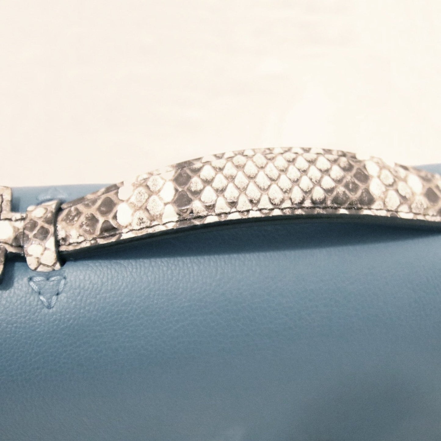 Louis Vuitton | Python Very Chain Bag | Pastel Baby Blue