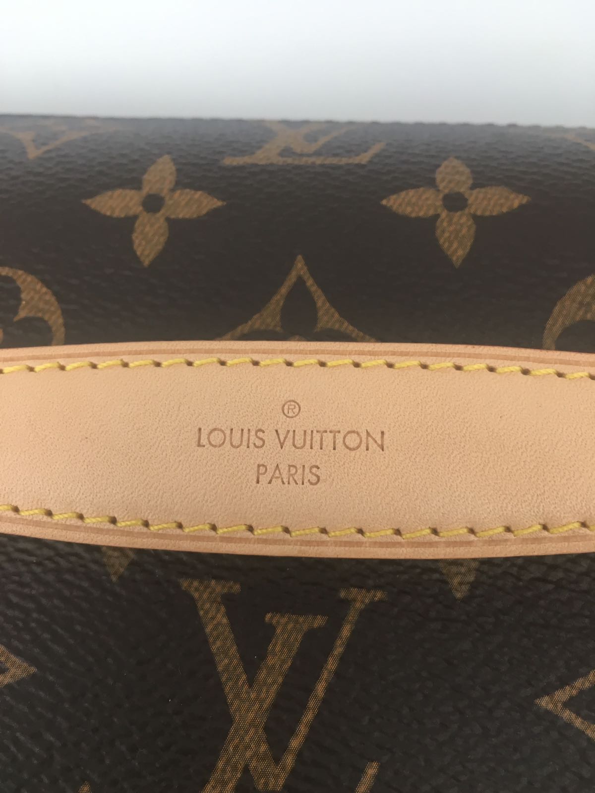 Louis Vuitton | Monogram Bumbag | M43644