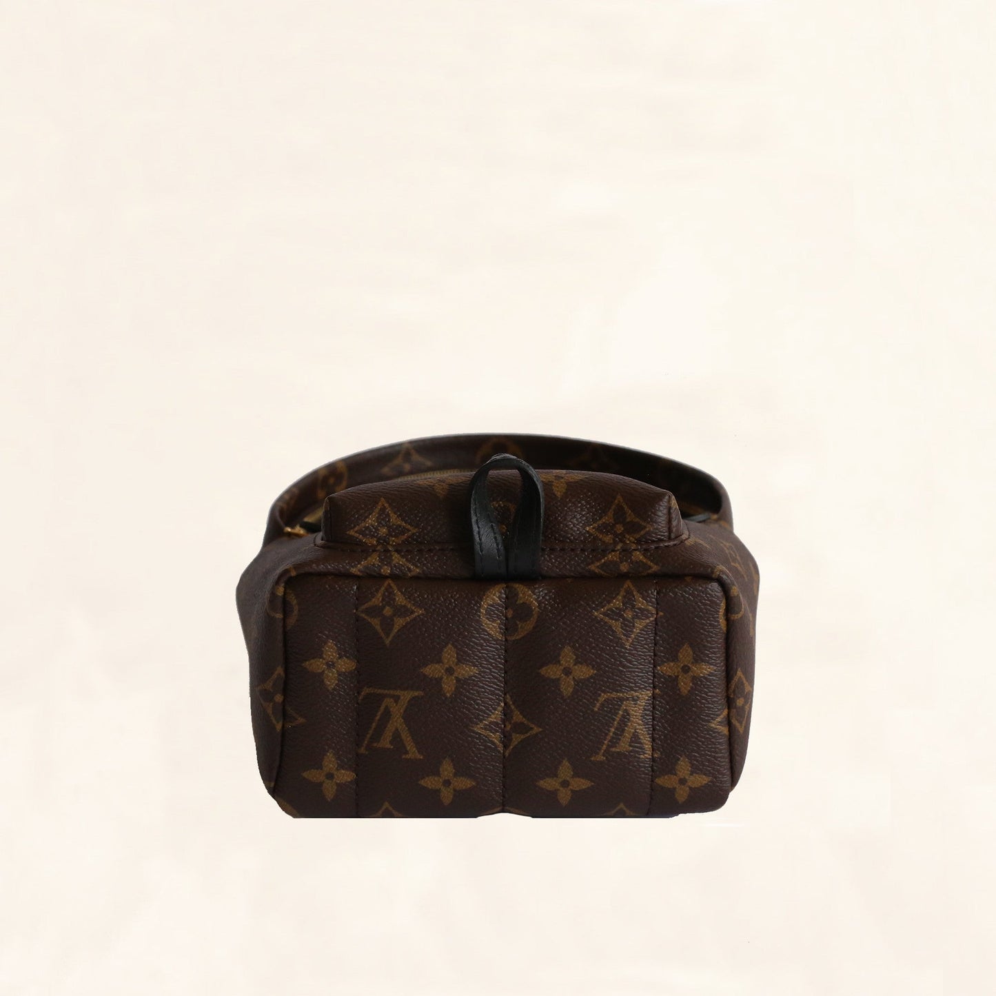 Louis Vuitton | Palm Springs Backpack | Mini