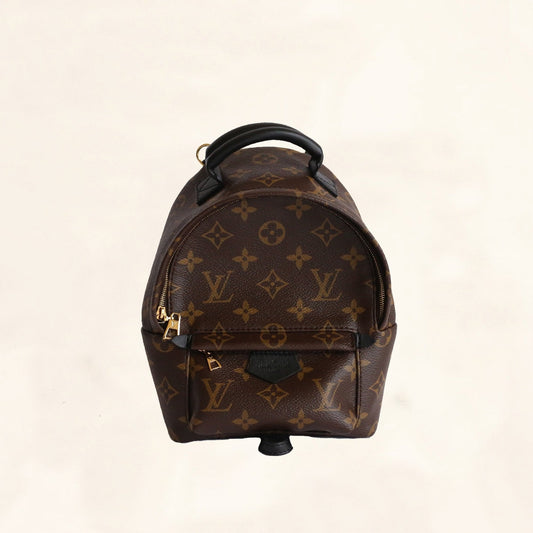 Louis Vuitton | Palm Springs Backpack | Mini